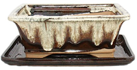 Exotenherz - Bonsai-Schale mit Unterteller Gr. 8 Zoll - braun-beige - eckig - Modell G93 - L 21cm - B 16cm - H 8cm