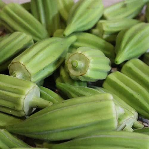 FStening 200 Pezzi Semi Di Okra Verdi Non OGM Unici L'effetto Di Piantagione Su Ampia Superficie è Buono Ampia Gamma Di Usi Aggiungi Colore Alle Verdure Del Tuo Giardino