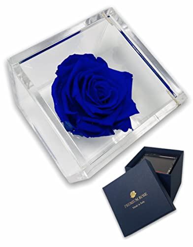 Passionefiori.it S 1081 Luxury Rose Stabilizzate Vere in Cubo più Spesso Luxury 8cm e Scatola Regalo Lusso, Cubo Rosa stabilizzata Blu, Rosa eterna