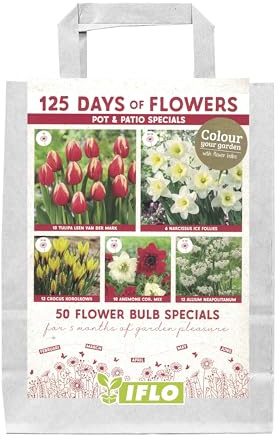 Blumenzwiebeln in Geschenkverpackung - Zwiebeln, Knollen verschiedener winterharter Pflanzen für Garten und Balkon - bunt, mehrjährig, für Topf und Beet (Pot & Patio Specials Rot 50St.)