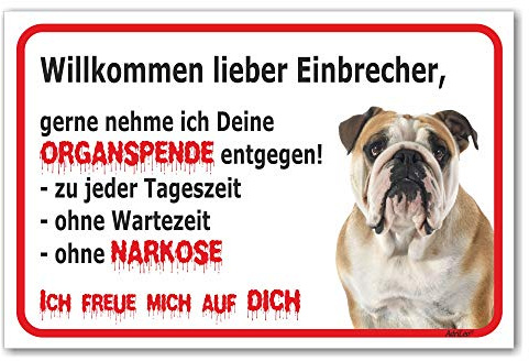 AdriLeo Schild - Vorsicht Englische Bulldogge - Willkommen lieber Einbrecher - (15x20cm) / Achtung Hund Wachhund robust langlebig UV-beständig wetterfestes Warnschild