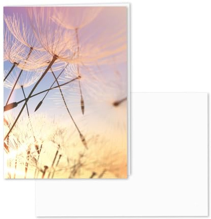 younikat Würdevolle Trauerkarte mit Umschlag DIN A6 Papier natur - dv503 | unbedruckte Innenseite, matte Oberfläche, blanko, mit Umschlägen, Beileidskarte, mit Umschlag