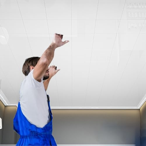 RENLXFI Dalle de Plafond Dalle De Plafond Lisse À Coller 30 X 30 Cm, Panneaux De Décoration D'intérieur Blancs pour Salon, Chambre, Cuisine, Lambris Et Revêtement(10 Pack)