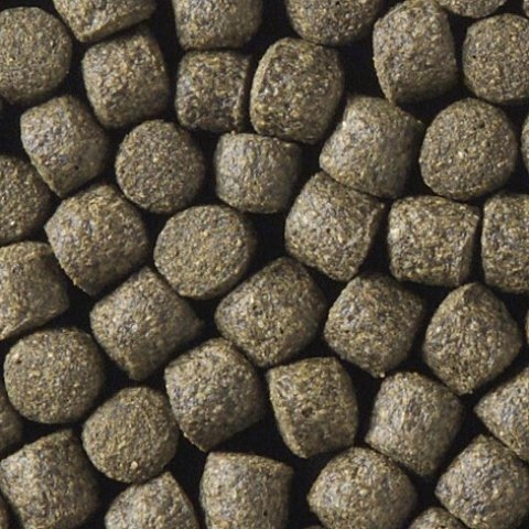 15kg Coppens Koi-Spirulina 6mm Koifutter