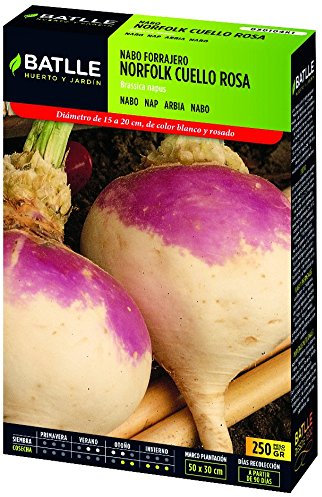 Semillas Batlle - Nabo Norfolk Cuello Rosa Caja 250G