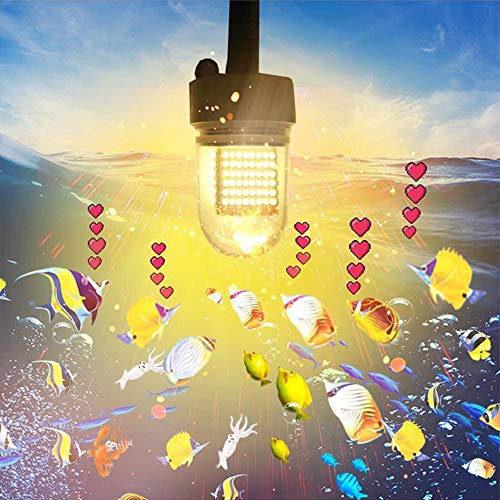 Hanchen Tauchlampe LED Angellampe Fischlocker Nachtfisch Finder Wasserdicht Unterwasser 12-24 V 45 W, grün