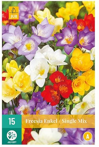 Jub - 15 bulbes FREESIAS Simple Mix