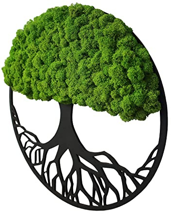 Hello Moss Wanddeko Moosbilder in Form Eines Baumes - Schön Aussehender Wand Baum - Bringen Sie Leben in Ihre Wohnung - Wandbild aus Natürlichen Rohstoffen und Deko Moos