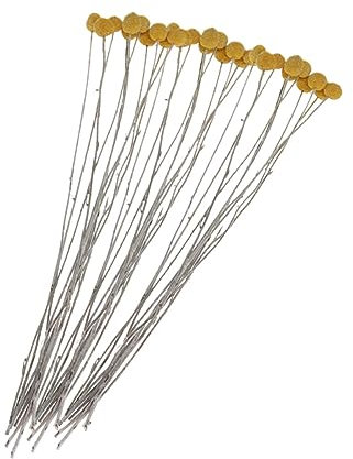 EXCEART Getrocknete Craspedia Blumen 2-3cm Natürliche Trockenblumen Dekoration Für Hochzeit Party Geschenk
