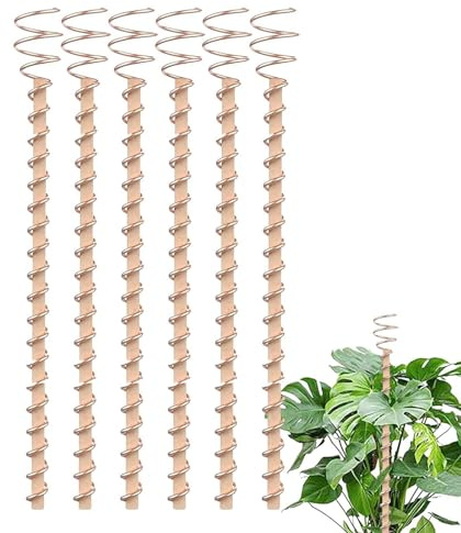 Elektrokultur-Pflanzenstecker – Kupfer-Gartenantenne, Erdspieße, Elektrokulturantenne, Kupfer-Gartenpfähle, Kupfer-Gartenwerkzeuge, Heringe für Gartenarbeit, Innenbereich