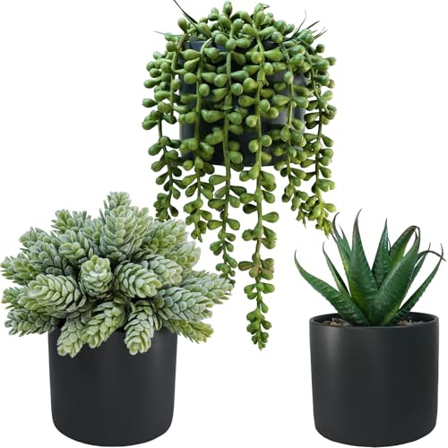 Winlyn Set mit 3 kleinen künstlichen Topf-Sukkulenten, Kunst-Alo-Hopen, Perlenkette, Sukkulenten in schwarzen Zylindertöpfen, für Geschenk, Zuhause, Büro, Badezimmer, Innen- und Außenbereich,