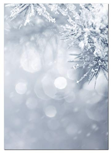 LYSCO® Motivpapier Briefpapier (Winter-5180, DIN A4, 25 Blatt) Weihnachten verschneiten Tannenäste