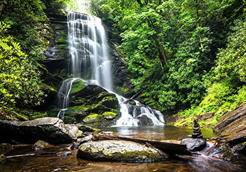 wandmotiv24 Fototapete Natur-wasserfall Bach Dschungel, XL 350 x 245 cm - 7 Teile, Wanddeko, Wandbild, Wandtapete, Urwald, Dschungel, Tropen M1066