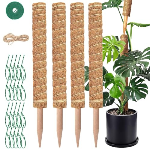 4 Pezzi Bastoni Muschio 42 cm - Palo di Muschio - Supporto Estensibile in Fibra di Cocco per Piante Rampicanti con Corda di Iuta, Chiusura a Strappo e Fascette a Spina per Monstera e Altre Rampicanti