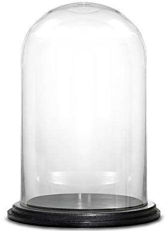 CYS EXCEL Glass Dome Cloche (H:9.25 D:5.5”) with Black Wood Base Decorative Showcase Display for Antique Collectible Bell Jar Terrarium Dessert Cover