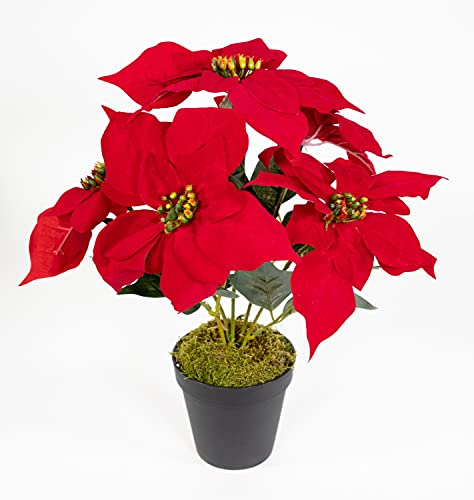 Seidenblumen Roß Weihnachtsstern 36cm rot im schwarzen Topf JA künstliche Blume Kunstpflanze Kunstblumen Poinsettie