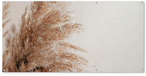 MuchoWow Poster exterieur Herbe - Plantes - Nature - Herbe de la pampa Decoration murale 160x80 cm Résistant aux intempéries/soleil