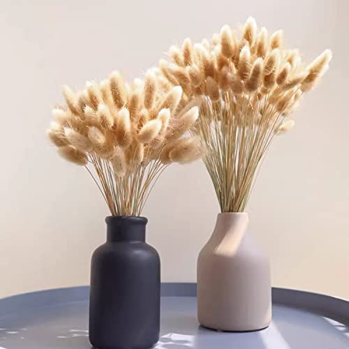 120 Piezas Ramos de Flores Secas de Colas de Conejo Hierba Seca de Cola de Conejo Hierba de La Pampa Natural para Decoración Utilizado del Hogar de Bodas en Interiores Decoración (Color Natural)