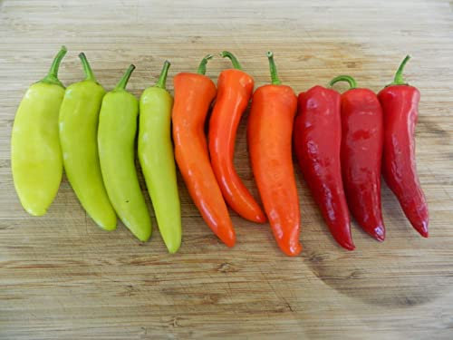 Hungarian Hot Wax Chilli Seeds - 10 Fresh Hungarian Hot Wax Pepper Seeds