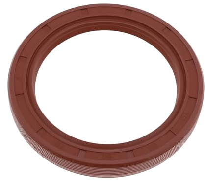 Briny River 1x TC 60x80x10mm Simmerring Wellendichtring Dichtung FPM FKM Wellendichtring