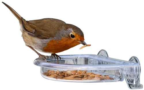 Jacobi Jayne® I Love Robins® TreatTray™ Vogelfutterstation mit Sichtfenster, klein, leicht zu reinigen, kein Durcheinander zum Aufkleben am Fenster für Gartenvögel
