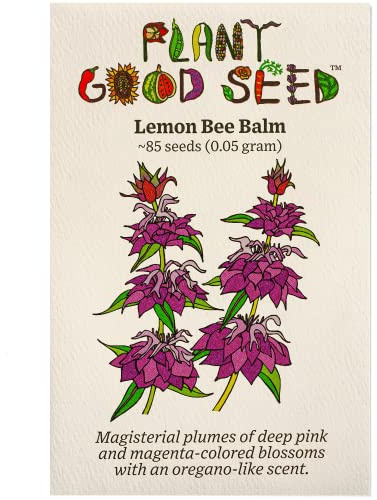 Plant Good Seed Lemon Bee Balm Seeds - Pack of 85, Heirloom Seeds for Planting Herbs - Gardening Supplies, Herb Garden, Wildflower, Flower Seeds to Plant Outside - Non-GMO, from USA