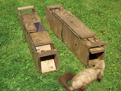 Kieferle Holzkastenfalle Wildmeister Marder Iltis Katze Fuchs Dachs Waschbär