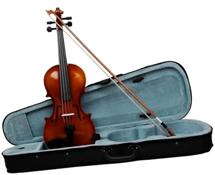 Violinensaiten für Erwachsene, 4/4, akustisch, klassisch, mit Koffer, Instrumenten-Zubehör-Set (1,1)