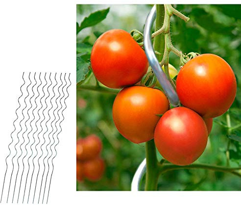 10er Set Tomatenstäbe 110cm Tomatenspiralstab Tomatenstange Rankhilfe Pflanzstab Stahl verzinkt Kletterpflanzen-Stab
