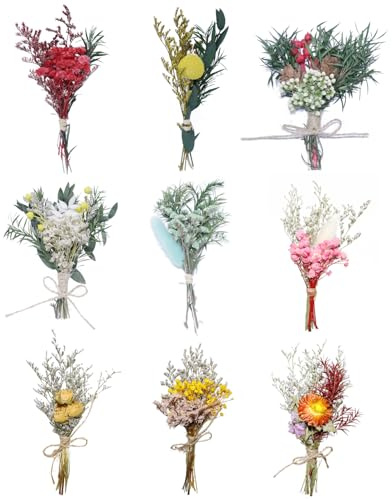 TooGet 9Pcs Mini Mazzi di Fiori Secchi Reale Piccolo Mazzo di Fiori Boho Fiori Decchi Naturali per fai da te Artigianato Torta Imballaggio Regalo Decorazione di Nozze e Decorazioni per la Casa