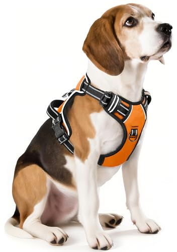 HEELE Hundsele, No-Pull-hundsele, Hundsele Antidrag, Bröstsele för Hundar, Sele för Små, Medelstora och Stora Hundar, Andningsbar, Justerbar, Reflekterande Hundsele Med Vadderat Handtag, Orange, M