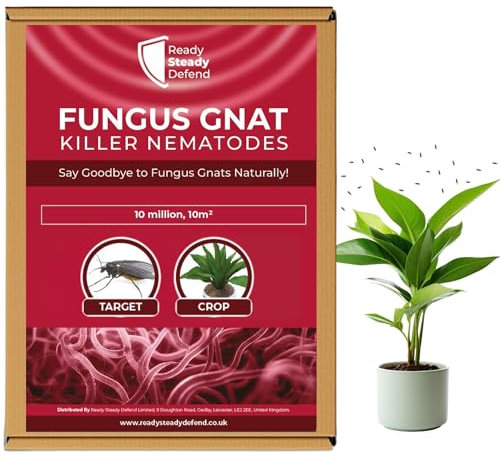 Fungus Gnat Killer Nematodes 10 m² (5 million) Indoor Plants - Effective Biological Control, Ideal Gnats Killer Indoor Plants, Comprehensive Scairid Fly Killer for Houseplants