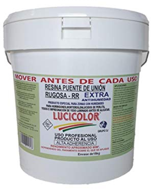 Resina Puente de Union Antihumedad 12 lt