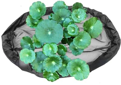 laxreheye Maceta Flotante para Estanque,Red para Protección de Plantas - Cerca para Acuarios Y Estanques Redondos para Invernadero De Agua Jardín Interior Animales Acuáticos Exterior