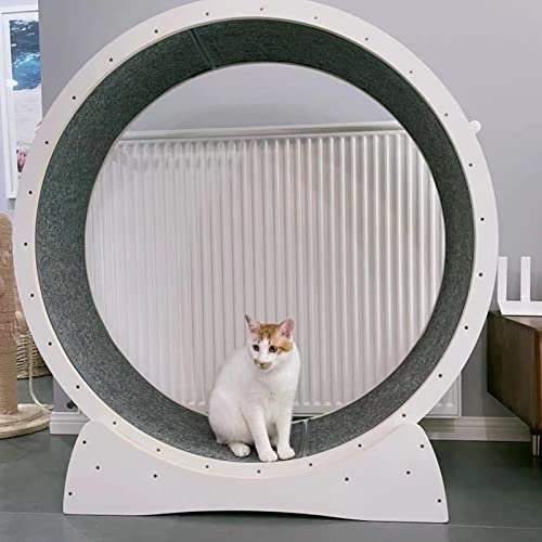 Träningshjul för Katt Small Medium Large - Small Gap Tyst Cat Löpband Hjul/Katt löphjul/Kattskrapbräda, Inomhus Kattleksak,White-L