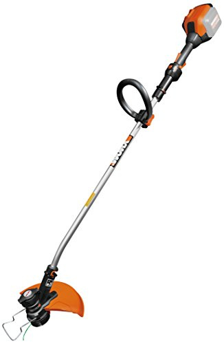 Worx wg168e.9 – Nico Organo – 40 V taglierina di erba