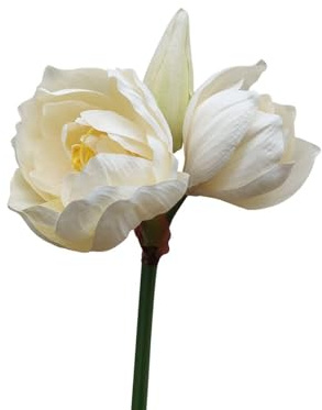 artplants.de Kunstblume Amaryllis GRELTA, Creme-gelb, 80cm - Künstliche Blume