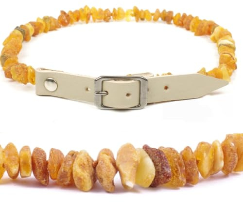 ilikeamber.com Bernsteinhalsband Hunde, Bernsteinkette Hund mit Ledergurt, Zeckenschutz Katze, Baltischer Bernstein aus Litauen