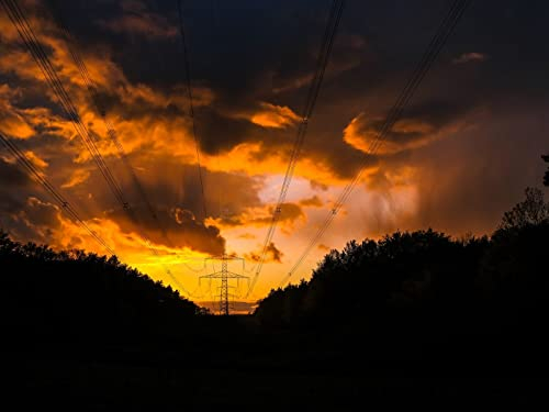 Puzzle 1000 Teile,Puzzle für Erwachsene,farbenfrohes Legespiel-Sonnenuntergang, Bäume, Drähte, 70x50cm