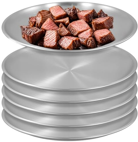 SINJEUN 6 stycken rostfria tallrikar 20 cm, rostfritt stål rund porslin, silver rostfritt stål tallrik camping bricka för kök