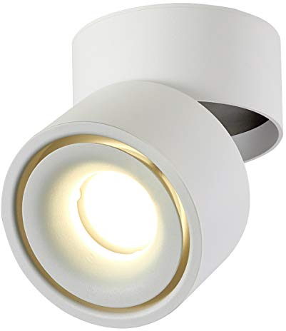 Dr.lazy 10W LED Aufbauleuchte Deckenleuchte, Deckenspots, wandleuchten, Deckenfluter, Deckenstrahler, DeckenLampe, Deckenbeleuchtung, Deckenleuchte, Aluminium