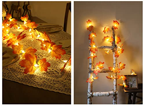 Garosa Herbstdekor Maple Leaf Girlande 9.8 Ft LED Herbstlaub Girlande mit Lichtern 3AA Batteriebetrieben für Thanksgiving Halloween Decor,Garten Licht