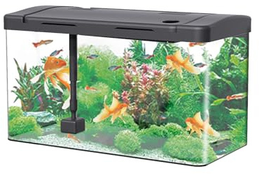 Fish Tank Acrylic Aquarium 19L (40 x 22 x 25 Cm) Fish Breeding Box, Fish Bowl With Fish Tank Filter and Oxygen Supply, LED Lights, Goldfish Turtle Shrimp Tank for Home Office Living Room