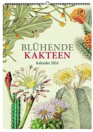 Blühende Kakteen. Wandkalender 2024: Zeichnungen von Toni Gürke
