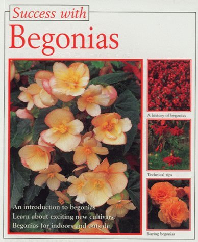 Success With Begonias
