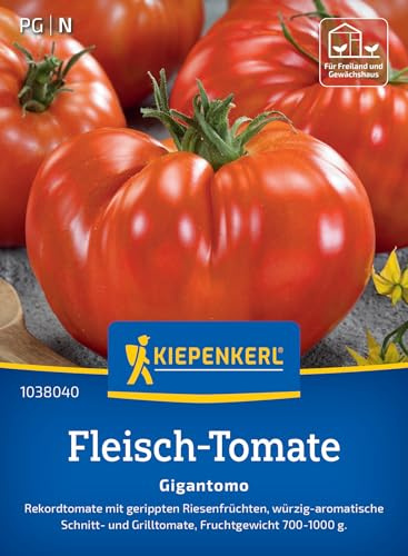 Kiepenkerl Fleisch-Tomatensamen Gigantomo 1038040, Gemüsesaat | Riesenfrüchte, Wuchshöhe 150-200 cm, aromatisch, für Freiland, Gewächshaus & Topf