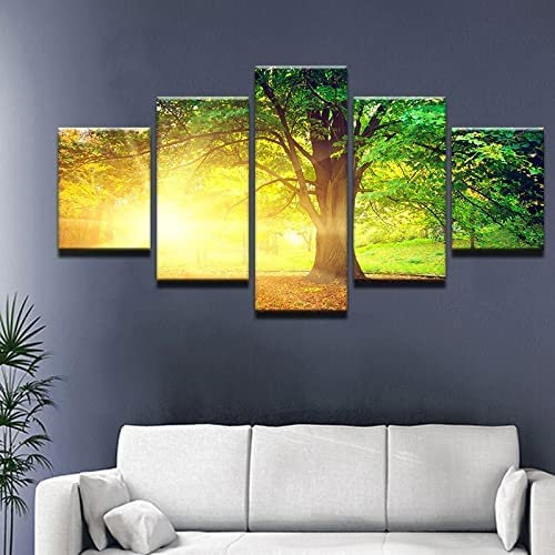 5 Teilig Leinwand Wanddeko Sonnenaufgang Durch Die Bäume Hd Bilder Leinwanddrucke 5 Stück Leinwand Bilder Gemälde Modern Wohnzimmer Wohnkultur Geschenk L 150 X 80 Cm Schlafzimmerbürohotelw -4U5F-X5T0-