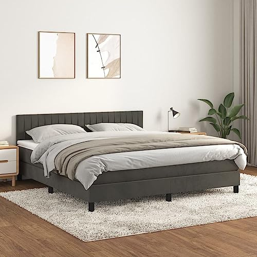 KOIECETA Boxspringbett mit Matratze Polsterbett Bett Hotelbett Einzelbett Bettrahmen Bettgestell Lattenrost Schlafzimmerbett Dunkelgrau 160x200 cm Samt