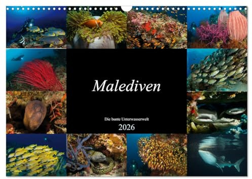 Malediven - Die bunte Unterwasserwelt (Wandkalender 2026 DIN A3 quer), CALVENDO Monatskalender: Tauchen Sie ein in eine bezaubernde Unterwasserwelt (CALVENDO Natur)