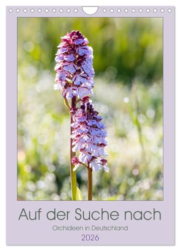 Auf der Suche nach Orchideen in Deutschland (Wandkalender 2026 DIN A4 hoch), CALVENDO Monatskalender: Welche Orchideen sind in der eigenen Heimat finden (CALVENDO Natur)